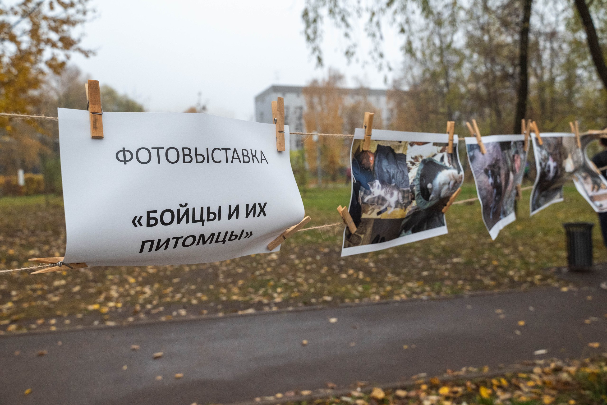 Более 100 реутовчан посетили региональный фестиваль «Человек собаке друг» Более 100 реутовчан посетили региональный фестиваль «Человек собаке друг»