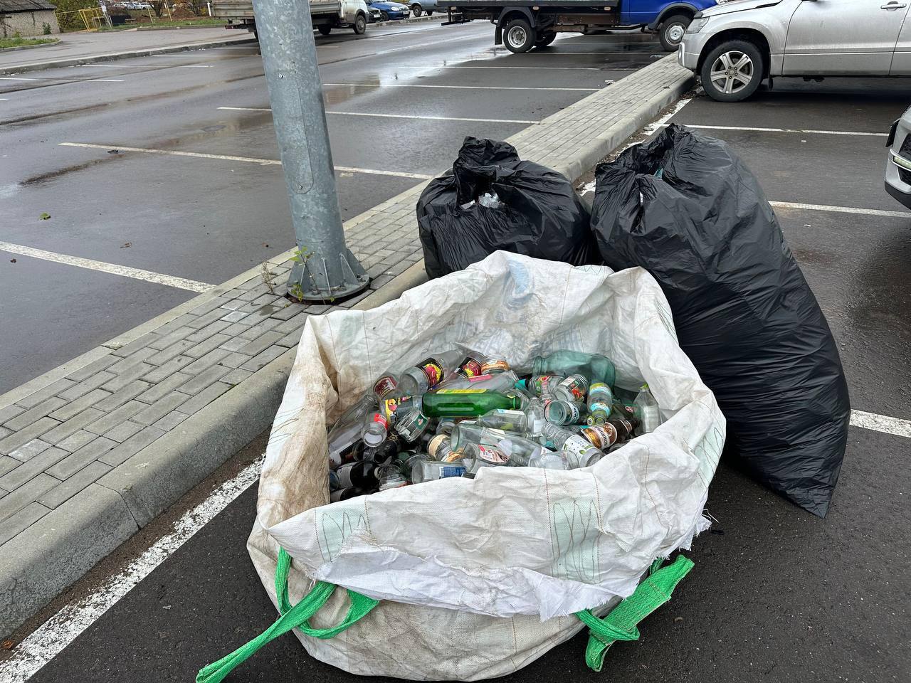 В Домодедово около сотни человек приняли участие в акции по сбору вторсырья В Домодедово около сотни человек приняли участие в акции по сбору вторсырья