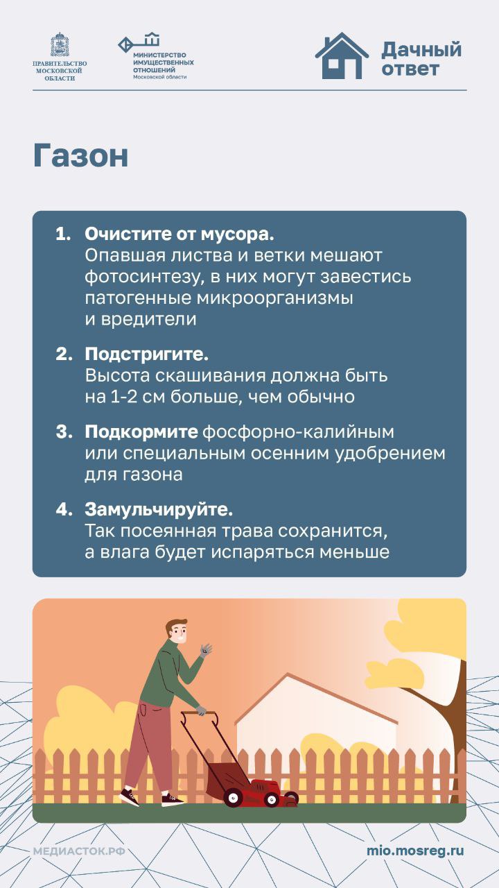 Осень – время прощания с теплым сезоном и подготовки дачи к долгой зимней спячке Осень – время прощания с теплым сезоном и подготовки дачи к долгой зимней спячке