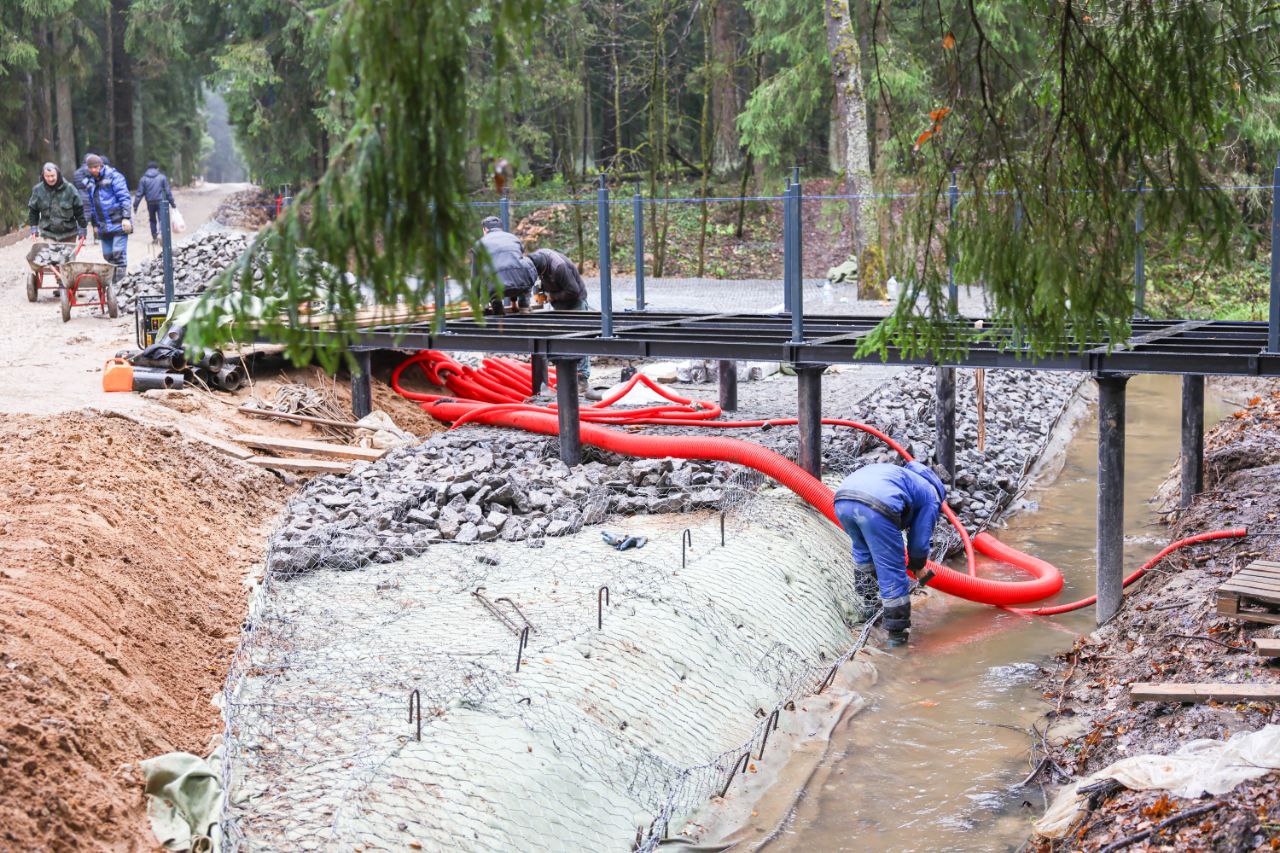 Юлия Купецкая: Благоустраиваем лесопарковые зоны Юлия Купецкая: Благоустраиваем лесопарковые зоны
