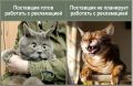 Оценка поставщиков растений за 2025 год