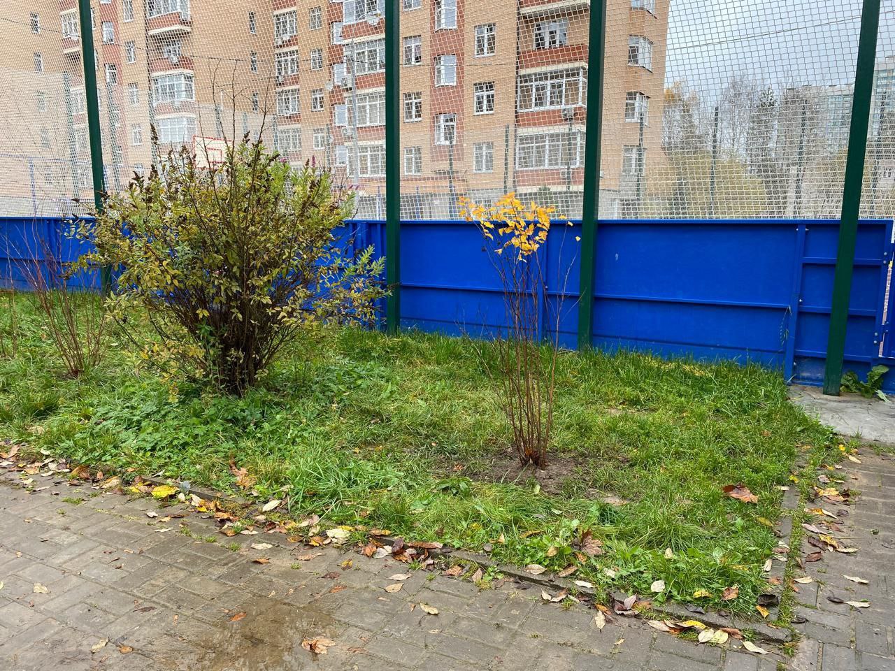 В Красногорске прошла акция по озеленению дворовых территорий В Красногорске прошла акция по озеленению дворовых территорий