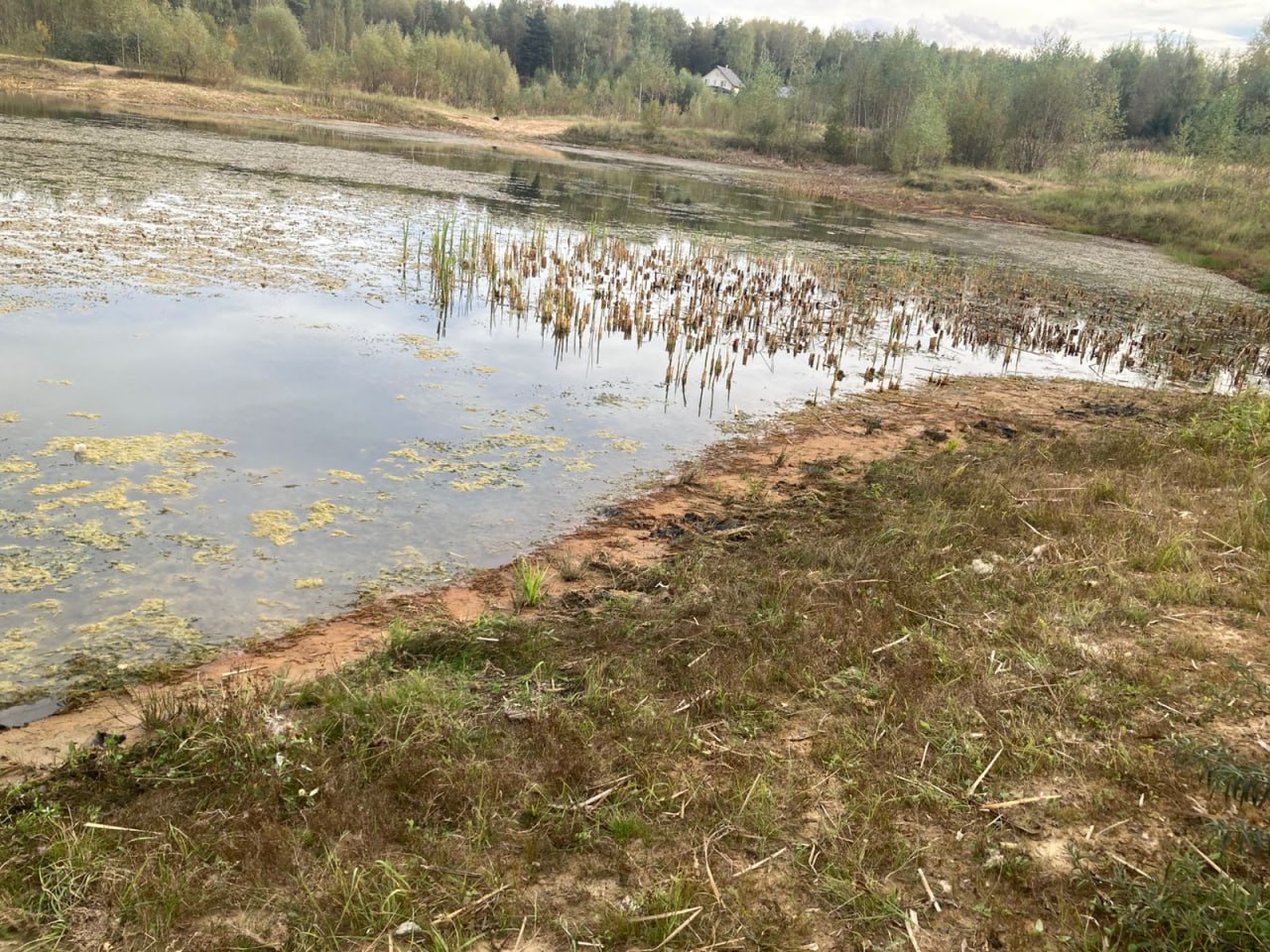 В Богородском округе продолжается системная работа по приведению в порядок водных объектов В Богородском округе продолжается системная работа по приведению в порядок водных объектов