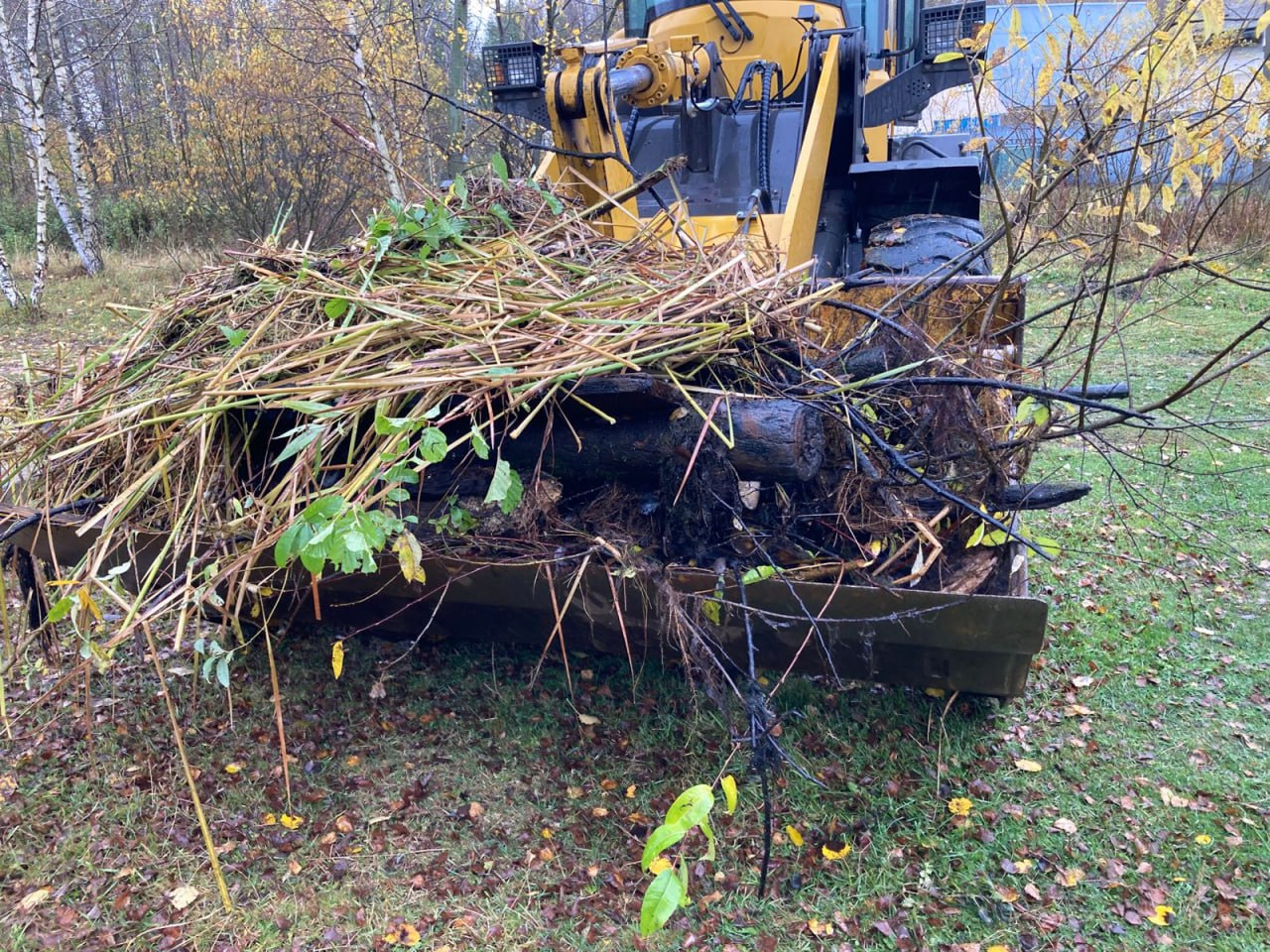 В Богородском округе продолжается системная работа по приведению в порядок водных объектов В Богородском округе продолжается системная работа по приведению в порядок водных объектов