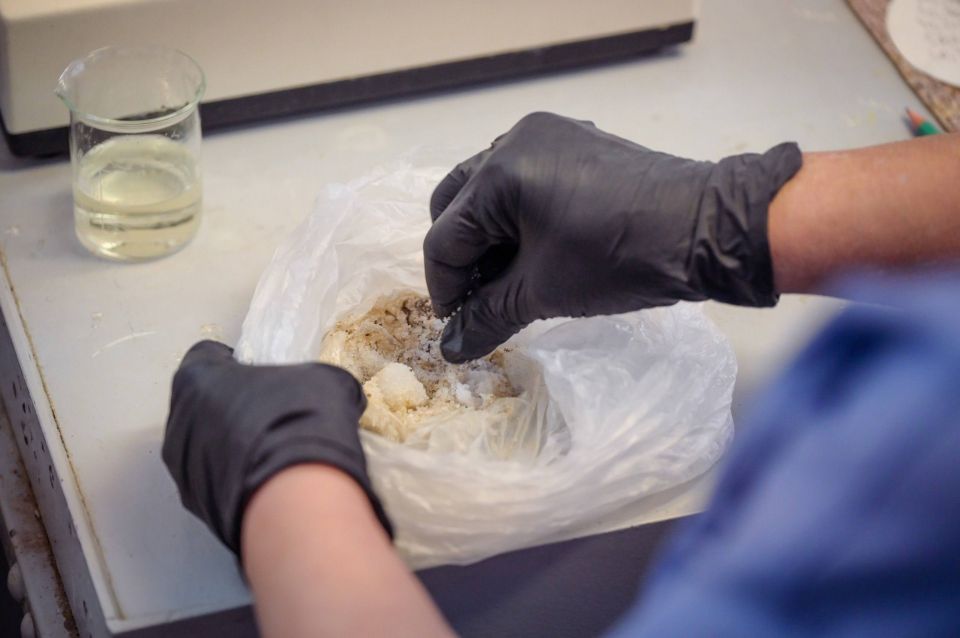 К сожалению, не очень позитивный пост: в преддверии Дня Победы на Зубачёвом поле мы высадили 80 саженцев яблонь К сожалению, не очень позитивный пост: в преддверии Дня Победы на Зубачёвом поле мы высадили 80 саженцев яблонь