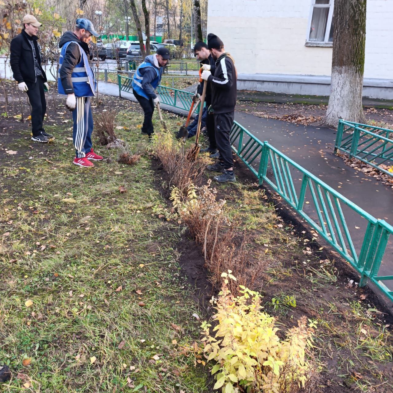 В Красногорске прошла акция по озеленению дворовых территорий