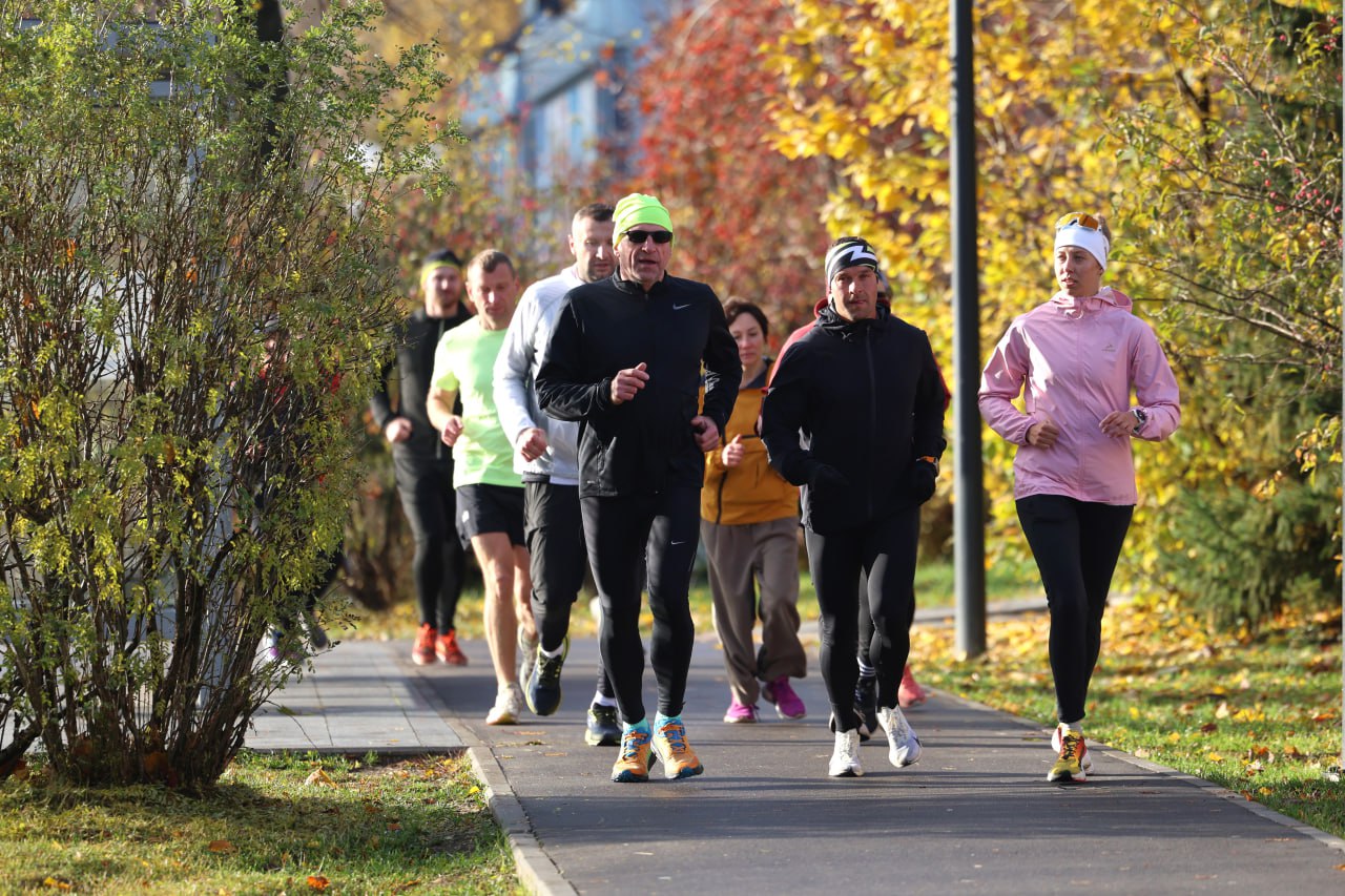 В Дмитрове стартовал регулярный спортивный проект В Дмитрове стартовал регулярный спортивный проект