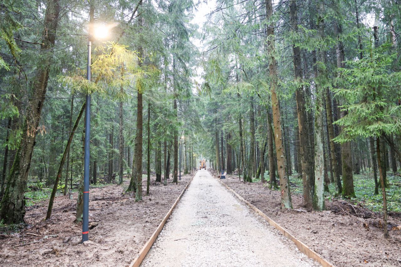 Юлия Купецкая: Благоустраиваем лесопарковые зоны Юлия Купецкая: Благоустраиваем лесопарковые зоны