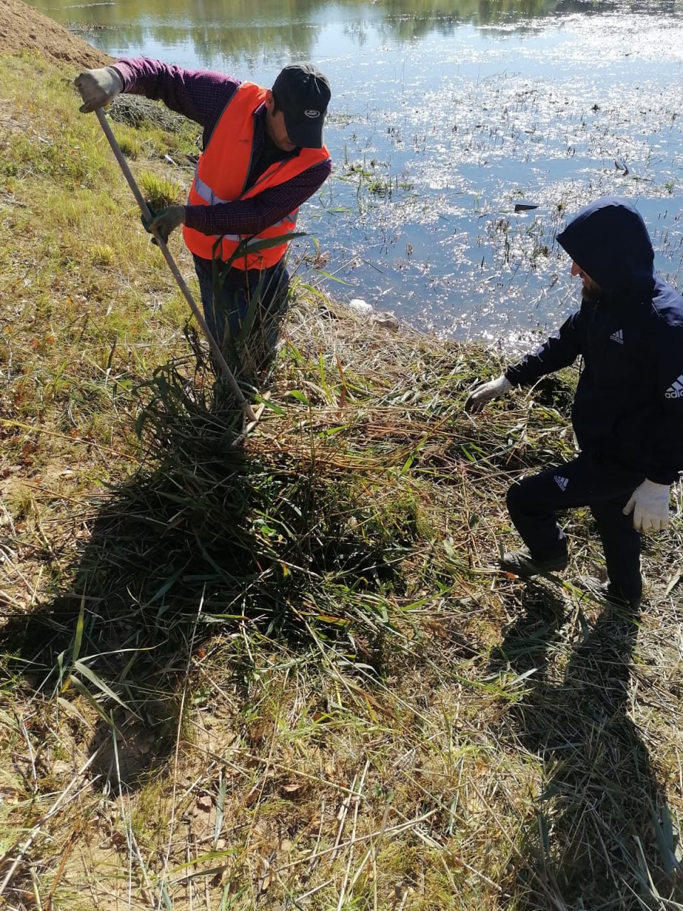 В Богородском округе продолжается системная работа по приведению в порядок водных объектов В Богородском округе продолжается системная работа по приведению в порядок водных объектов