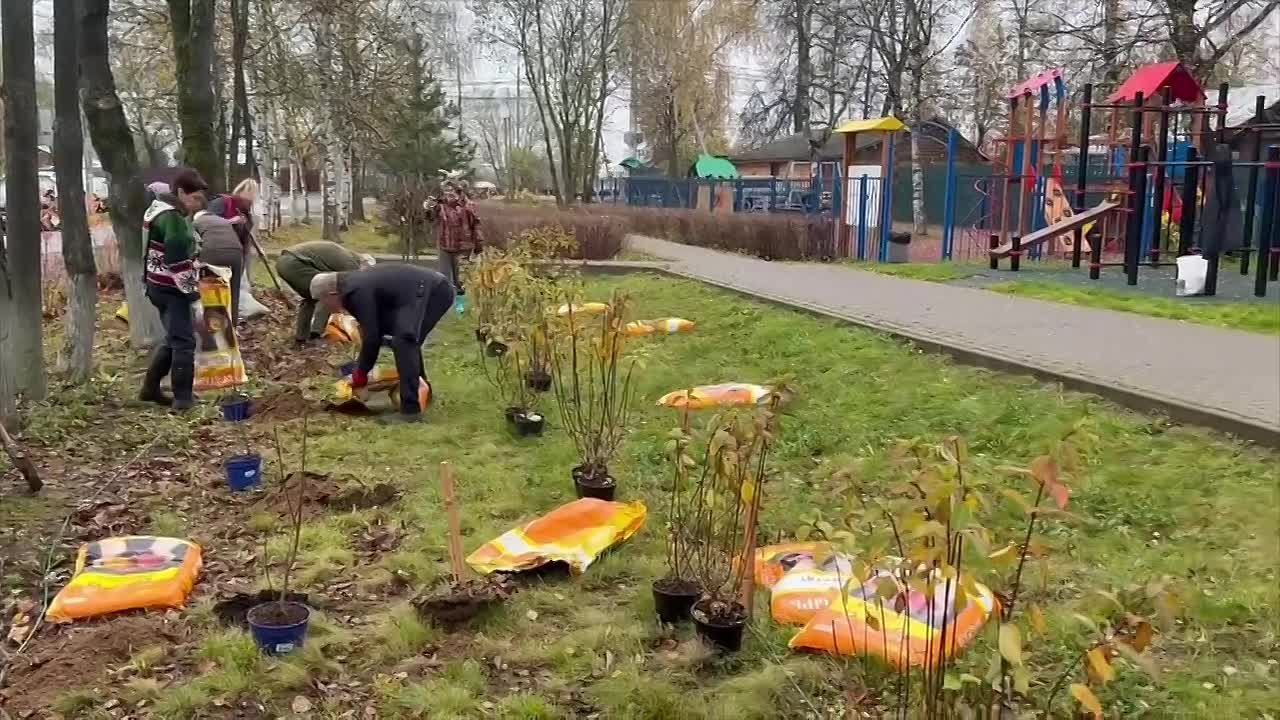Жители села Ильинское провели акцию по высадке кустарников в память о Героях Великой Отечественной войны