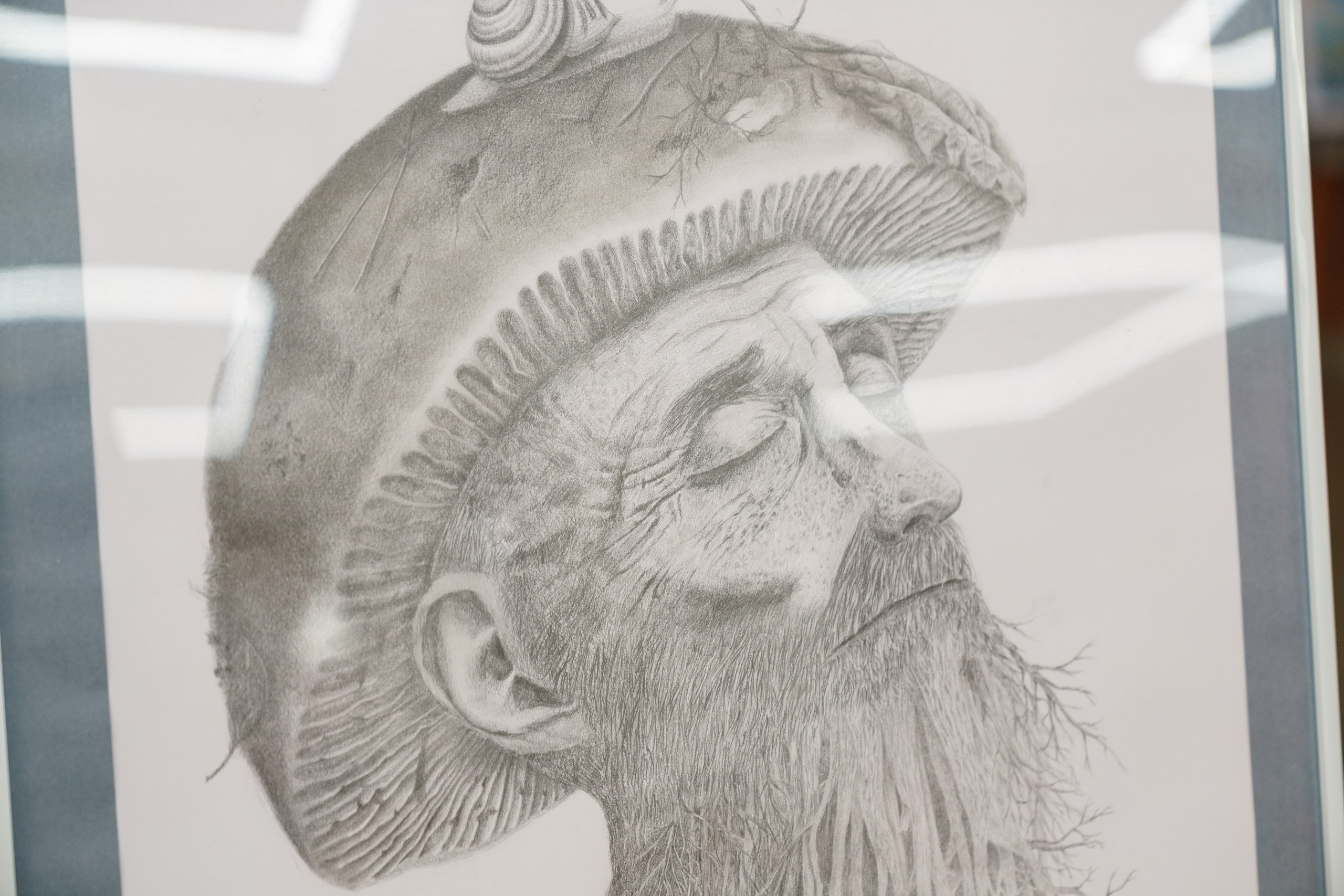 В Домодедовском дворце культуры и спорта «Мир» прошла выставка «умных рисунков» Антона Сушкина В Домодедовском дворце культуры и спорта «Мир» прошла выставка «умных рисунков» Антона Сушкина