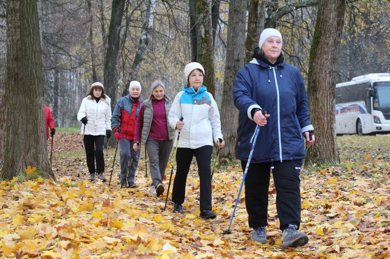 В Дмитрове стартовал регулярный спортивный проект В Дмитрове стартовал регулярный спортивный проект
