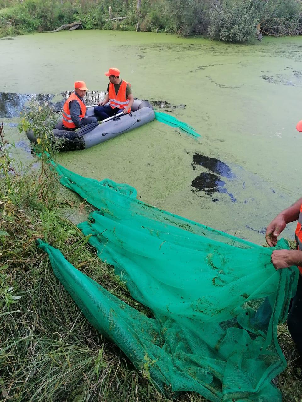 В Богородском округе продолжается системная работа по приведению в порядок водных объектов В Богородском округе продолжается системная работа по приведению в порядок водных объектов