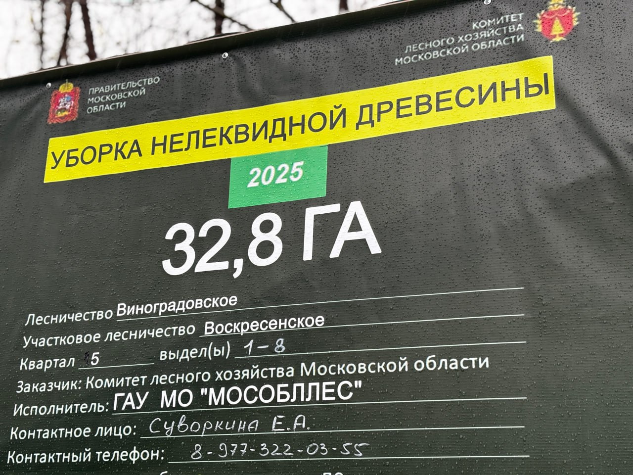 В деревне Маришкино проводят работы по уборке неликвидной древесины