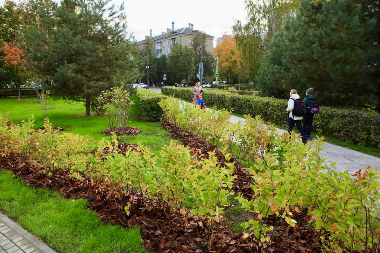 Игорь Трифонов: На еженедельном совещании с Губернатором Московской области Андреем Юрьевичем Воробьёвым одной из ключевых тем стала реализация проектов благоустройства Игорь Трифонов: На еженедельном совещании с Губернатором Московской области Андреем Юрьевичем Воробьёвым одной из ключевых тем стала реализация проектов благоустройства