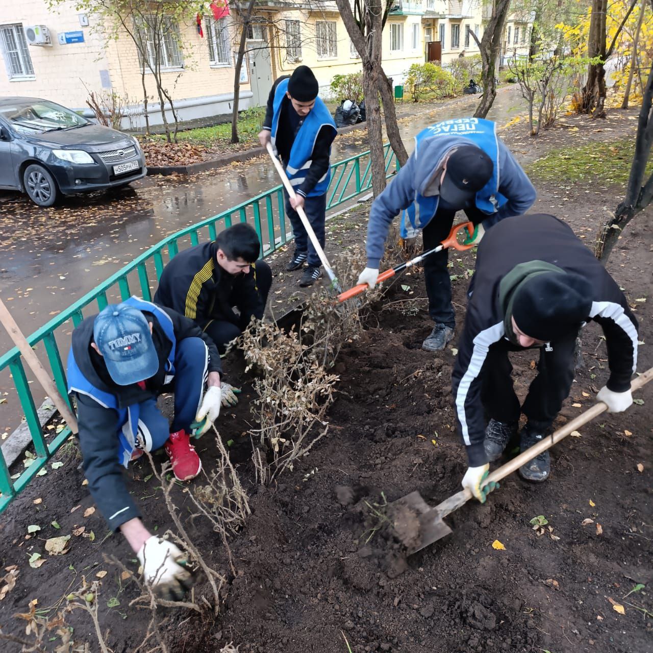 В Красногорске прошла акция по озеленению дворовых территорий В Красногорске прошла акция по озеленению дворовых территорий