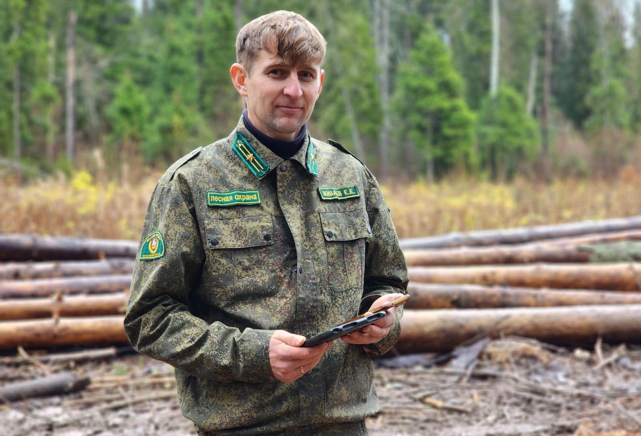 В лесу под Сергиевым Посадом проводится выборочная санитарная рубка В лесу под Сергиевым Посадом проводится выборочная санитарная рубка