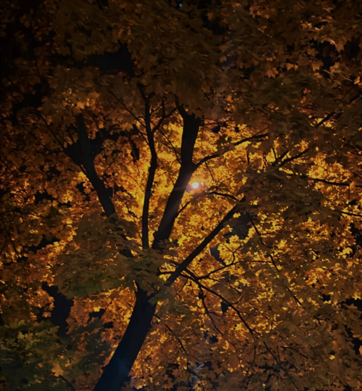 Доброе утро, Серпухов!. Воздух прогреется до комфортных +6°C — отличное время для прогулок под зонтиком и вдохновения новыми идеями! Среда — это возможность сделать ещё один шаг к своим целям, проявить настойчивость и...