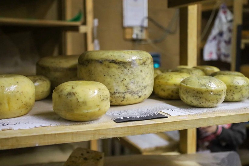 Семьи участников СВО познакомились с процессом производства сыра! Семьи участников СВО познакомились с процессом производства сыра!