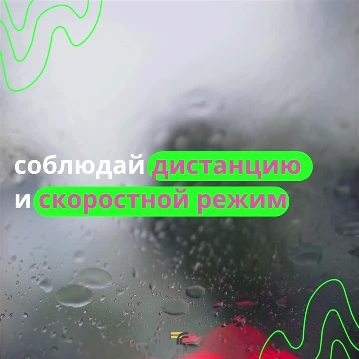 В Подмосковье синоптики прогнозируют дождливую погоду — видимость может быть снижена, будьте внимательны