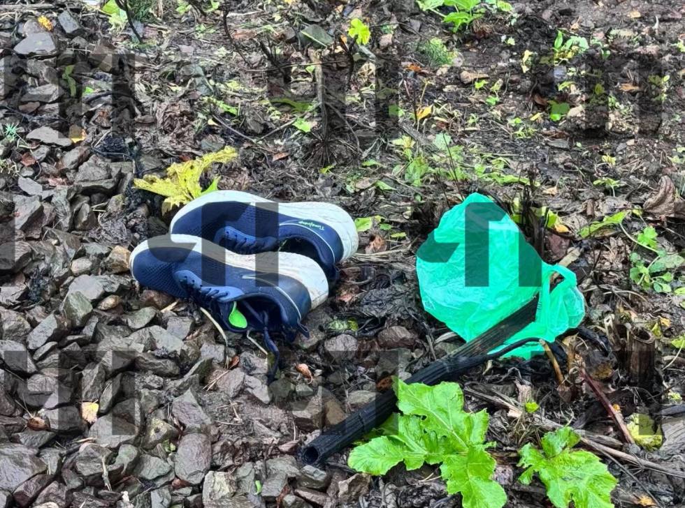 14-летнего Всеволода, которого две недели искали в Подмосковье, нашли мертвым, сообщают СМИ