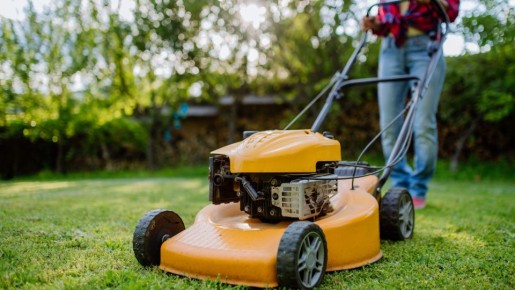 Не только для компоста: вот где еще пригодится скошенная трава