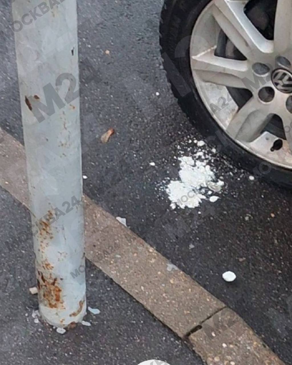 Массовое убийство домашних питомцев в подмосковном Путилково!