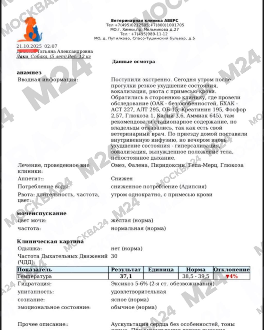 Массовое убийство домашних питомцев в подмосковном Путилково! Массовое убийство домашних питомцев в подмосковном Путилково!