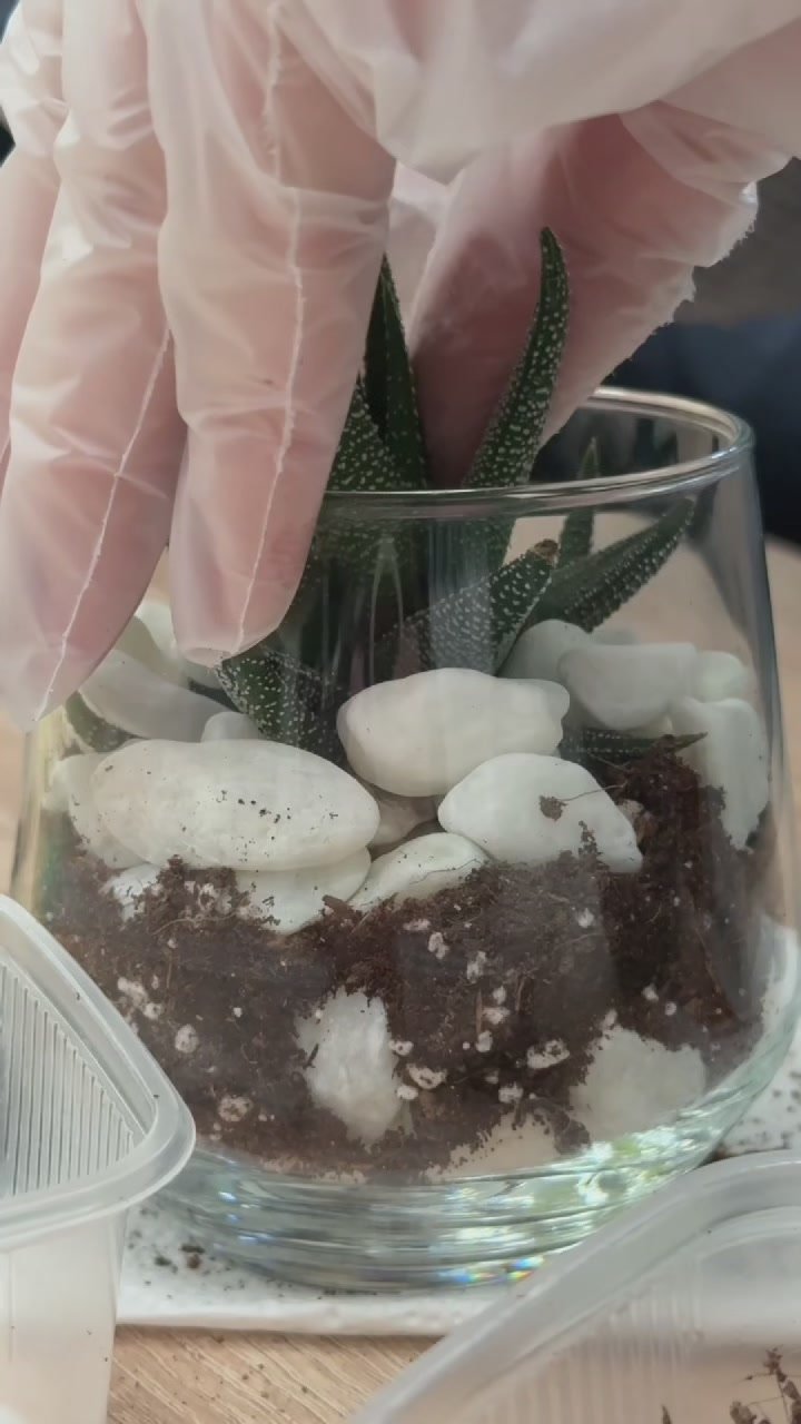 В стенах Образовательного комплекса № 11 города Пушкино собрались представители школьных музеев со всего округа