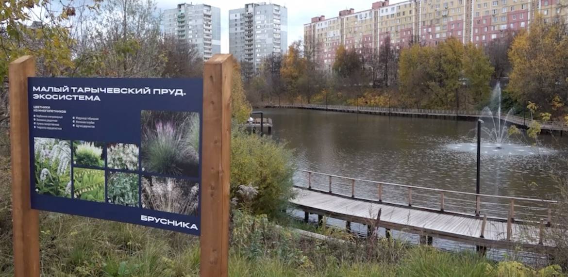 В малом Тарычевском пруду Ленинского городского округа было выпущено более 3000 мальков и 500 волжских раков В малом Тарычевском пруду Ленинского городского округа было выпущено более 3000 мальков и 500 волжских раков