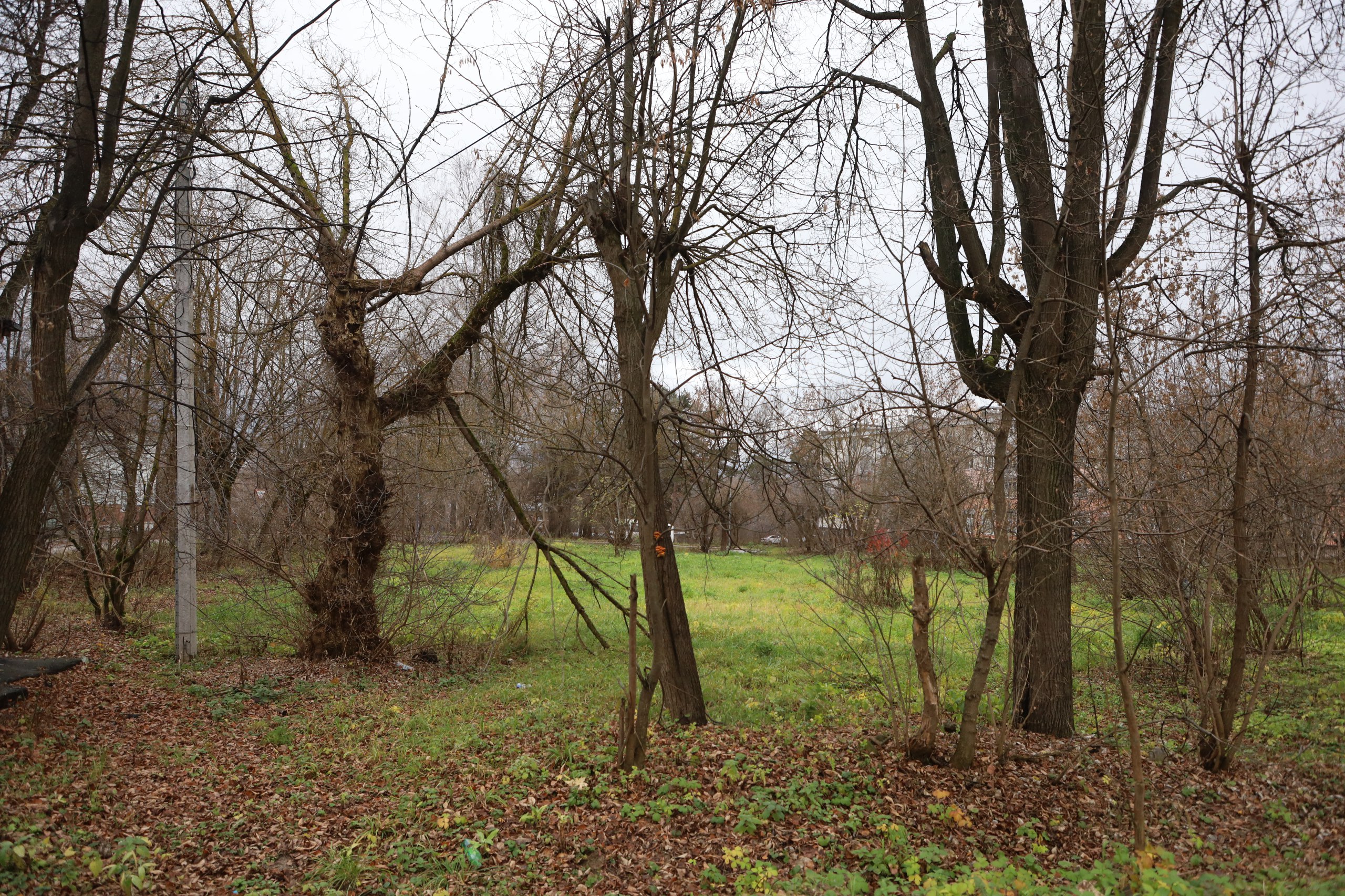Ещё один рейд оперативной группы по благоустройству состоялся в Серпухове Ещё один рейд оперативной группы по благоустройству состоялся в Серпухове
