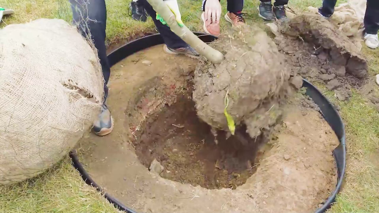 Юлия Купецкая: Быть волонтером — это призвание