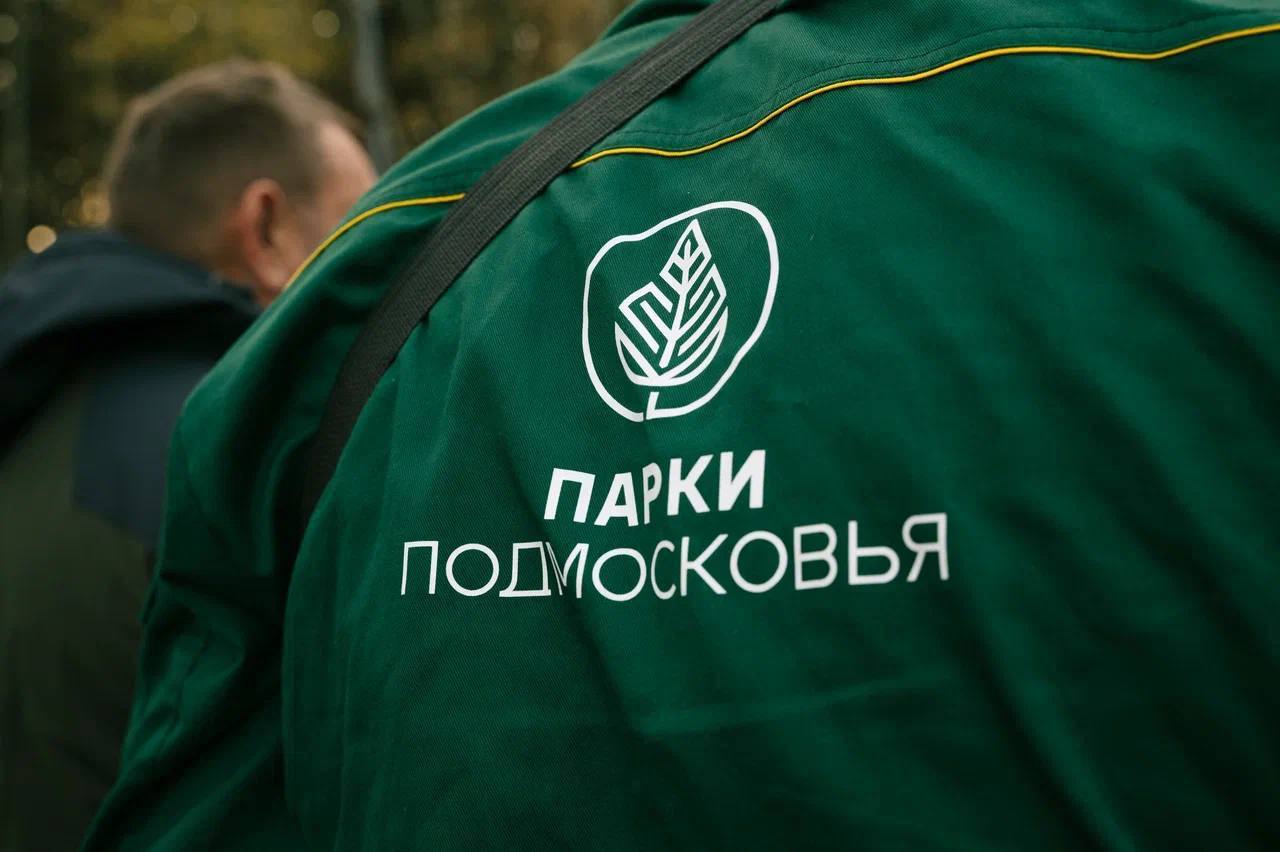 Зимний сезон в парках Домодедово стартует уже через месяц Зимний сезон в парках Домодедово стартует уже через месяц