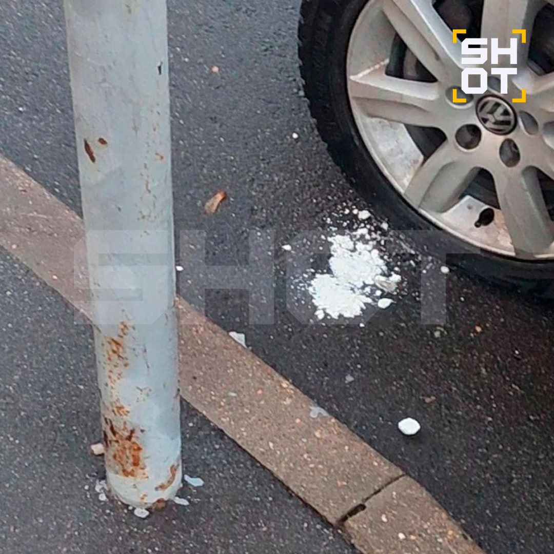 Десятки собак отравили догхантеры в Подмосковье Десятки собак отравили догхантеры в Подмосковье