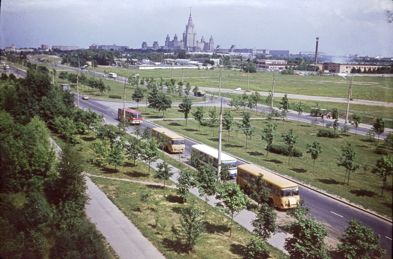 Мичуринский проспект, 1981-84 гг