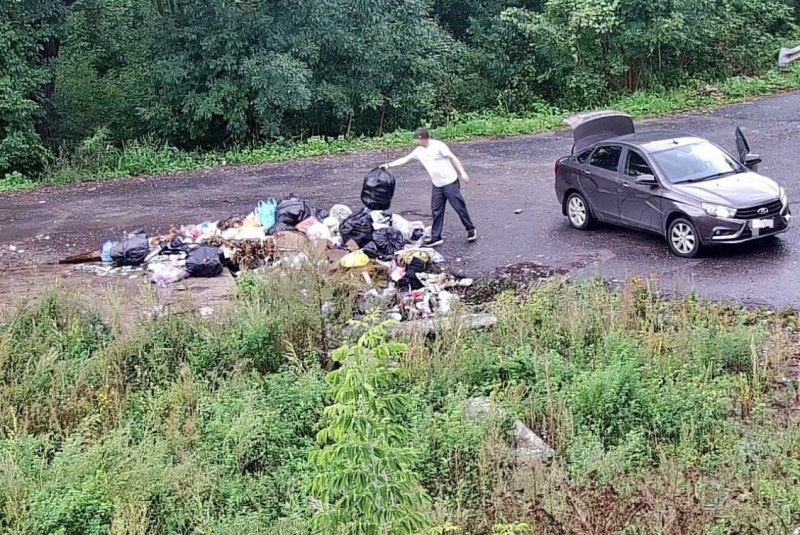 Региональному движению «Волонтеры Подмосковья» исполнилось 5 лет Региональному движению «Волонтеры Подмосковья» исполнилось 5 лет