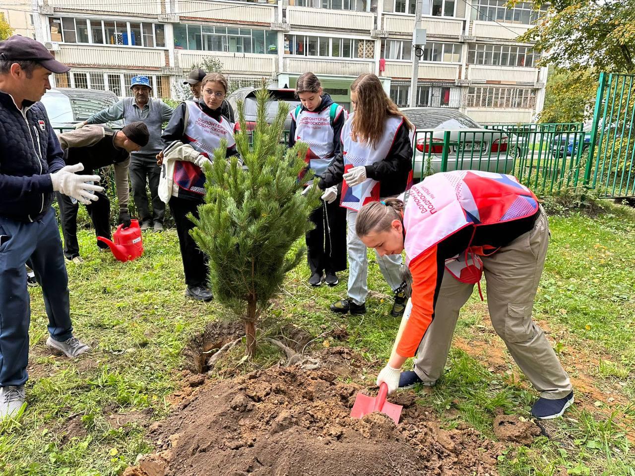 В Ленинском городском округе успешно реализуется проект, инициированный губернатором Подмосковья Андреем Воробьевым «Волонтеры Подмосковья»