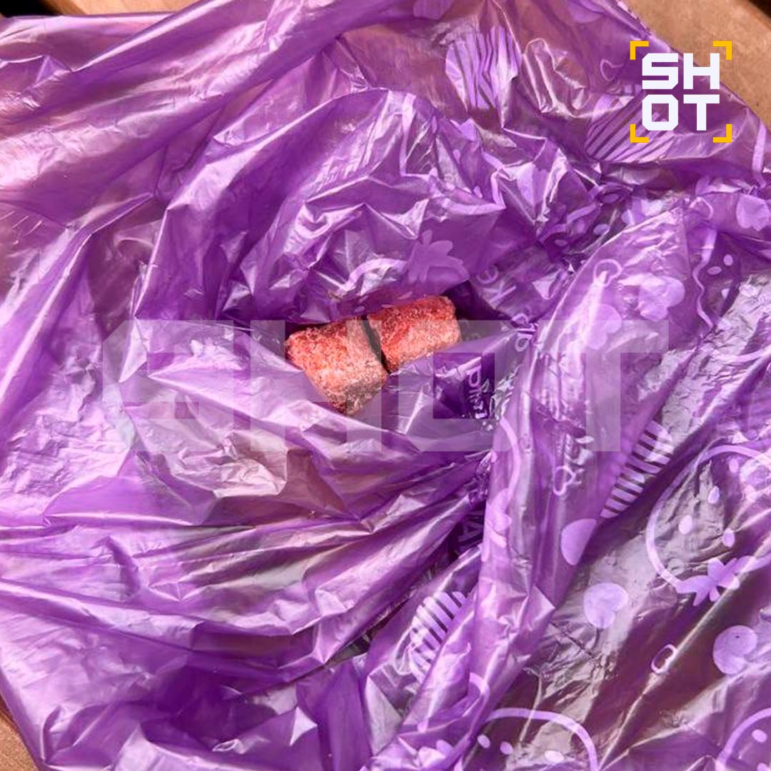 Десятки собак отравили догхантеры в Подмосковье Десятки собак отравили догхантеры в Подмосковье