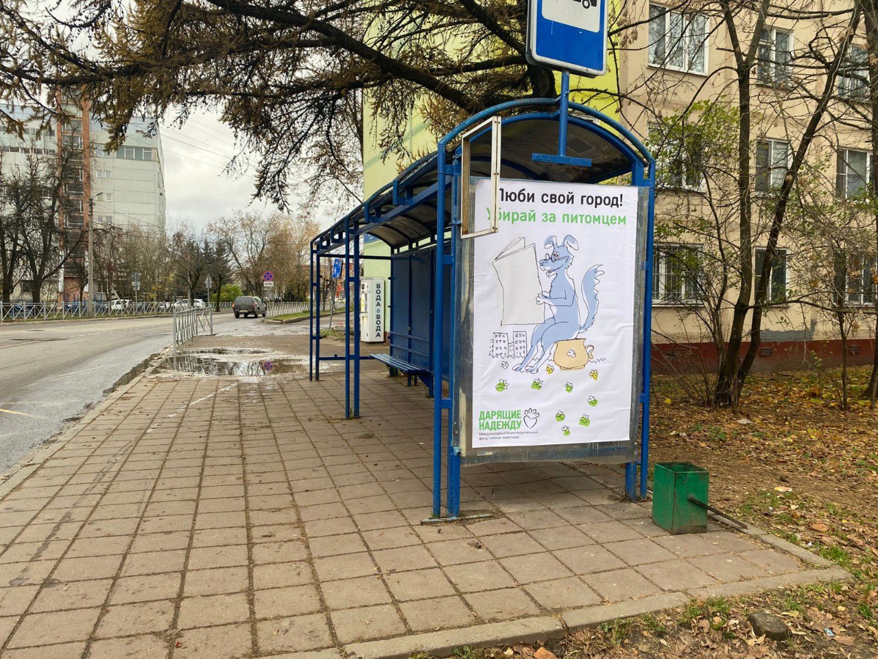 Культура выгула собаки: почему важно убирать за питомцем