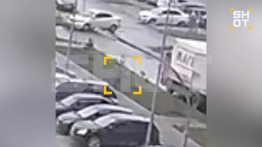 Десятки собак отравили догхантеры в Подмосковье