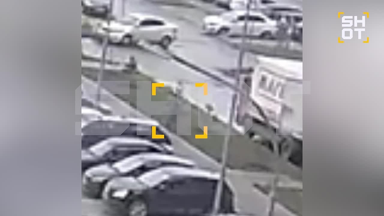 Десятки собак отравили догхантеры в Подмосковье