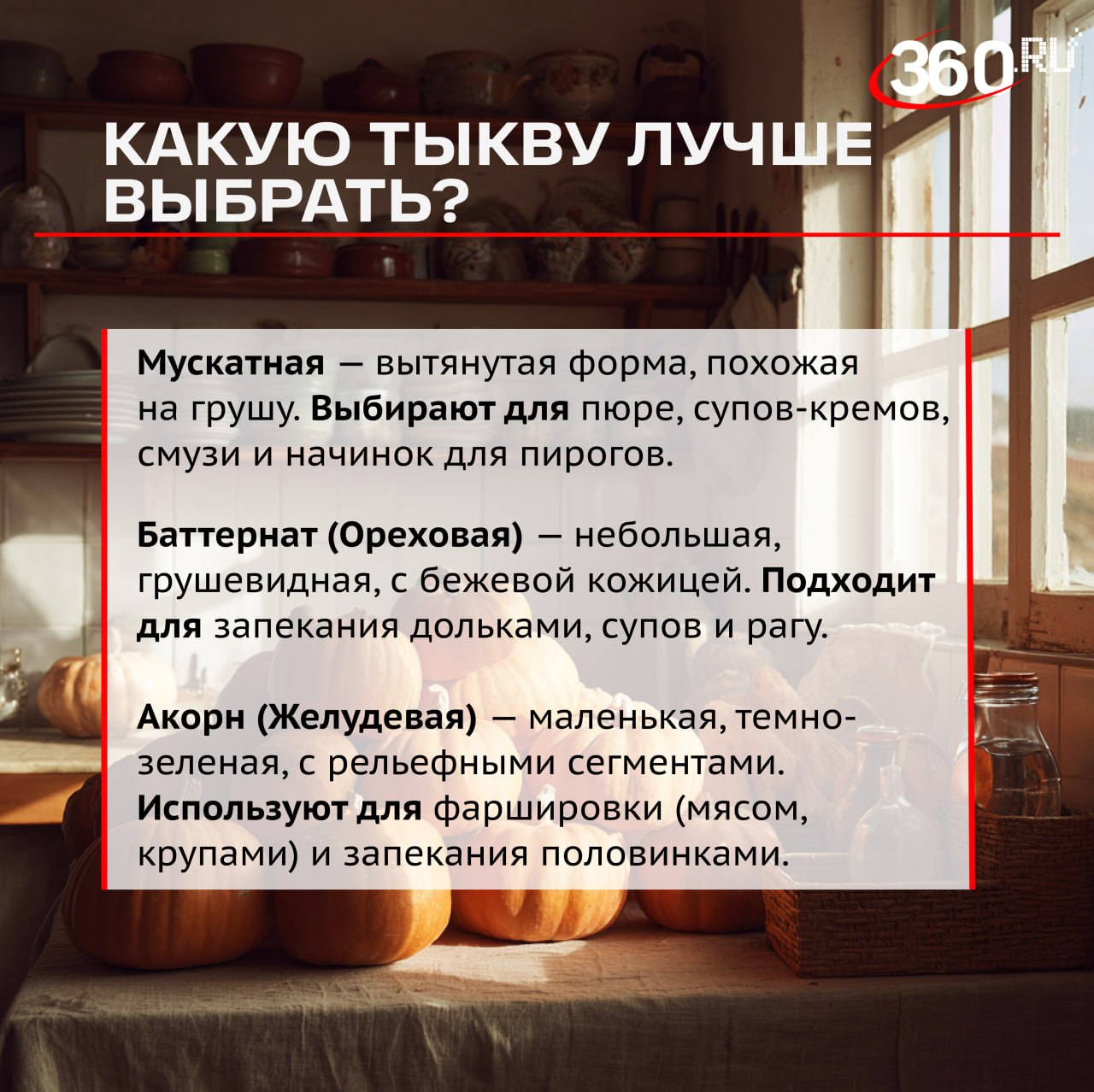 Золотая тыква — осенний суперфуд Золотая тыква — осенний суперфуд