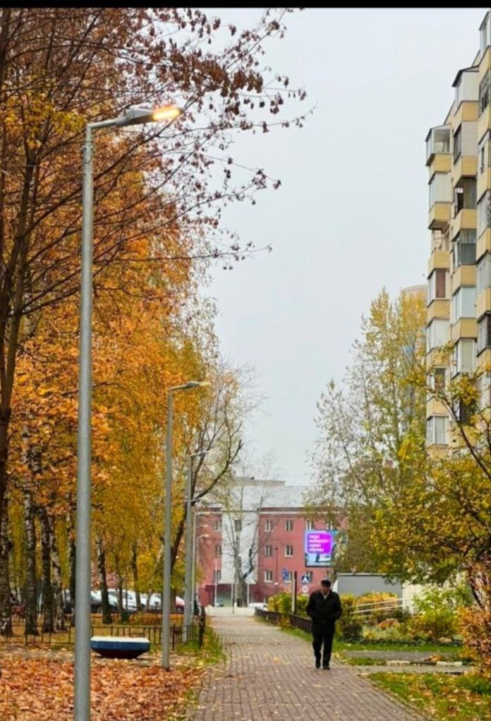 В Реутове установили более 900 новых энергоэффективных фонарей В Реутове установили более 900 новых энергоэффективных фонарей