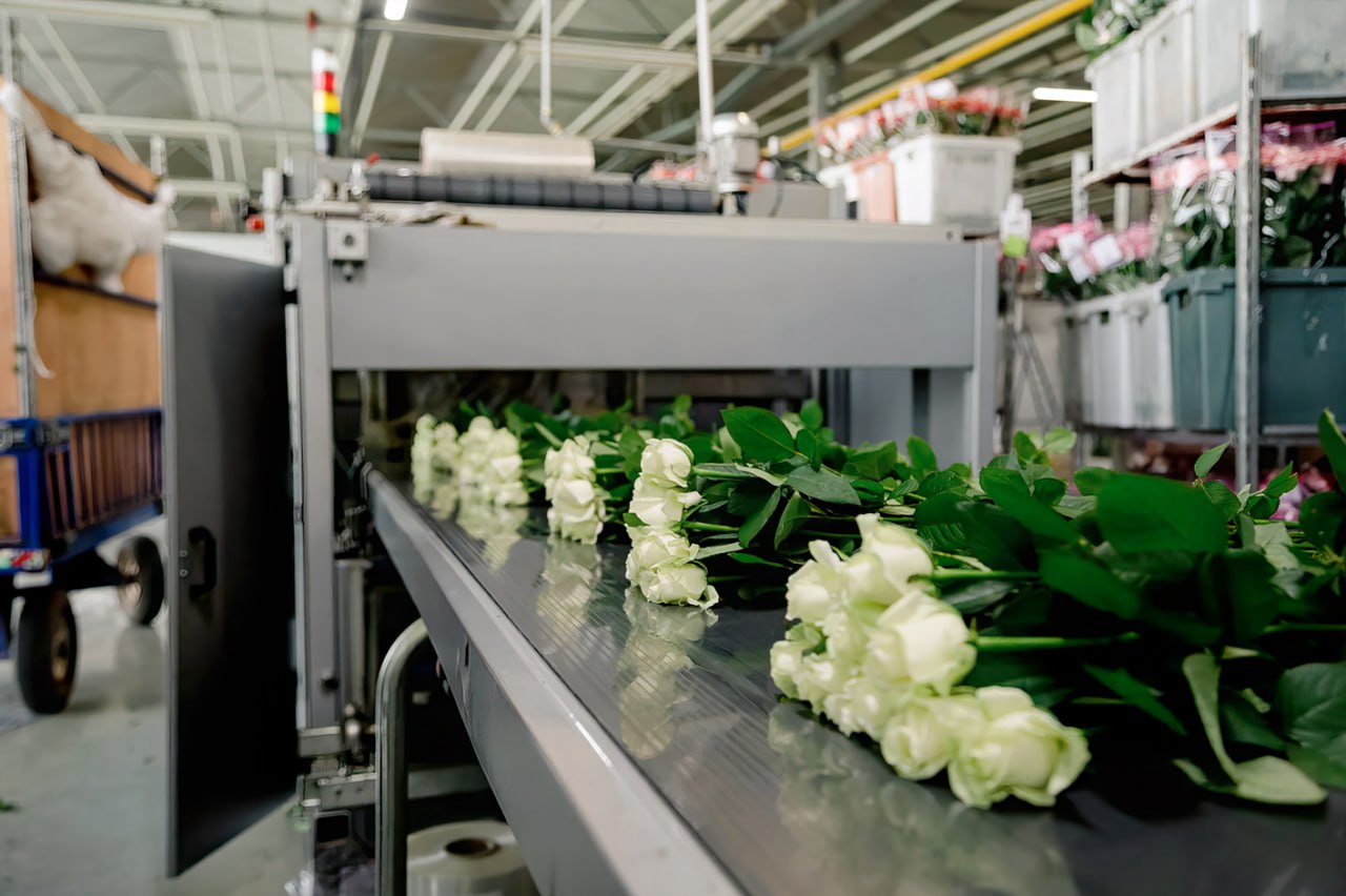 Компания «Россети Московский регион» поддерживает развитие агропромышленного комплекса в Раменском