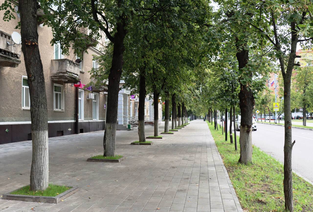 Сергей Мужальских: В этом году в округе комплексно благоустроили пять общественных территорий.  Сергей Мужальских: В этом году в округе комплексно благоустроили пять общественных территорий.