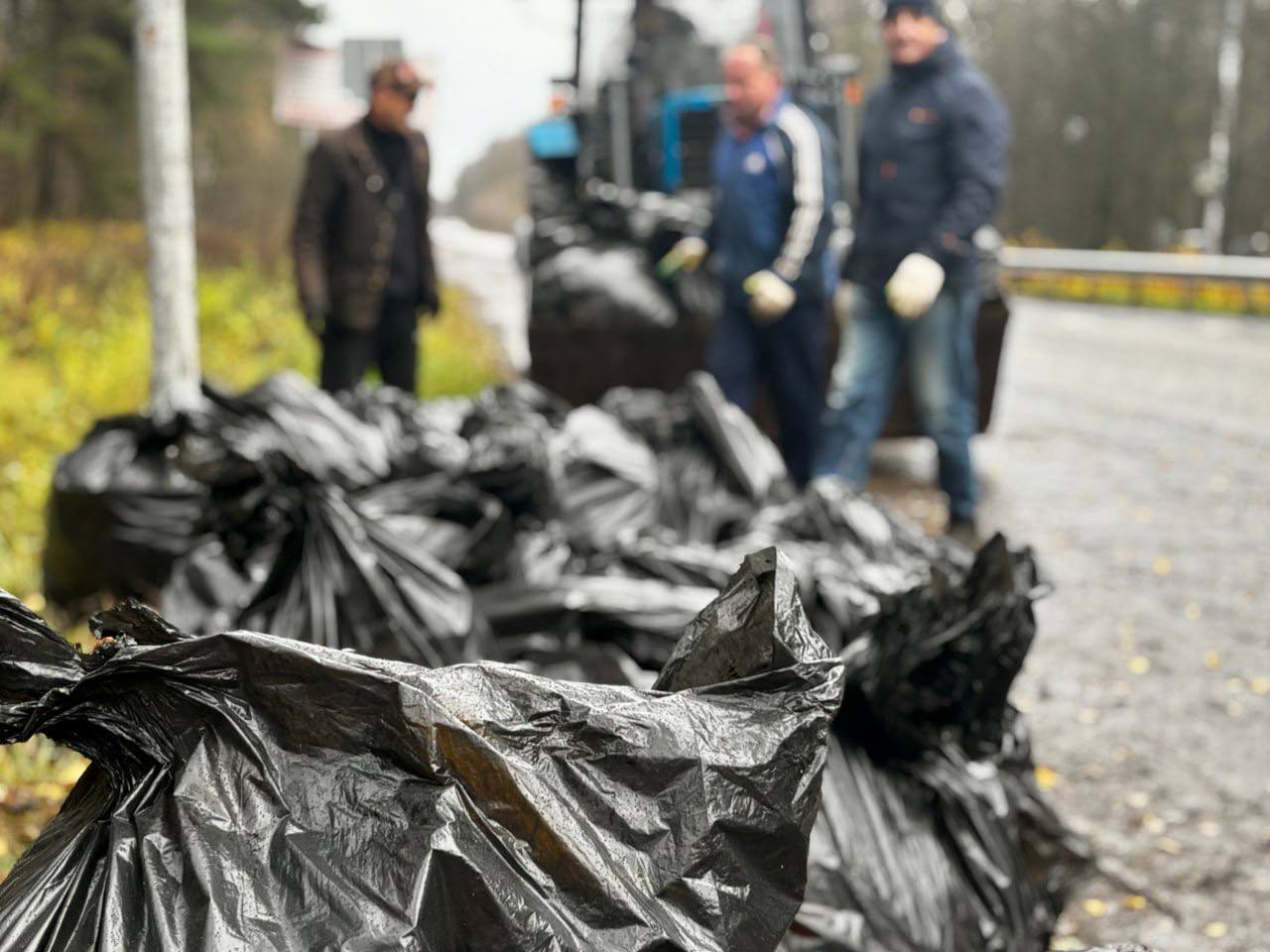 В Воскресенске прошел субботник в лесу В Воскресенске прошел субботник в лесу