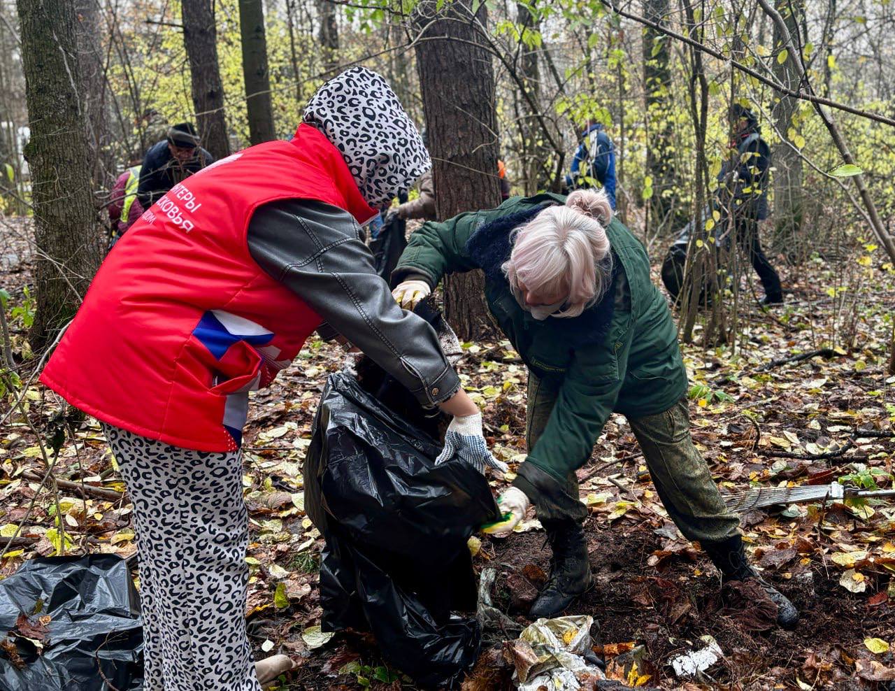 В Воскресенске прошел субботник в лесу В Воскресенске прошел субботник в лесу