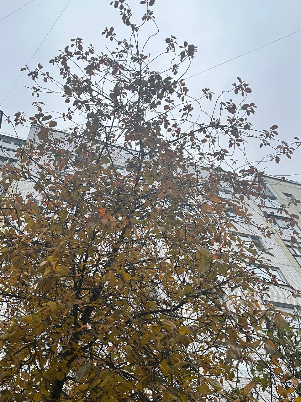 Доброе утро, Серпухов!. Сегодня ожидается +6 градусов