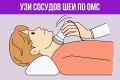 Как, при наличии медицинских показаний, получить направление на УЗИ сосудов шеи по полису ОМС? В каких случаях оно показано и каковы показатели нормы при таком исследовании?