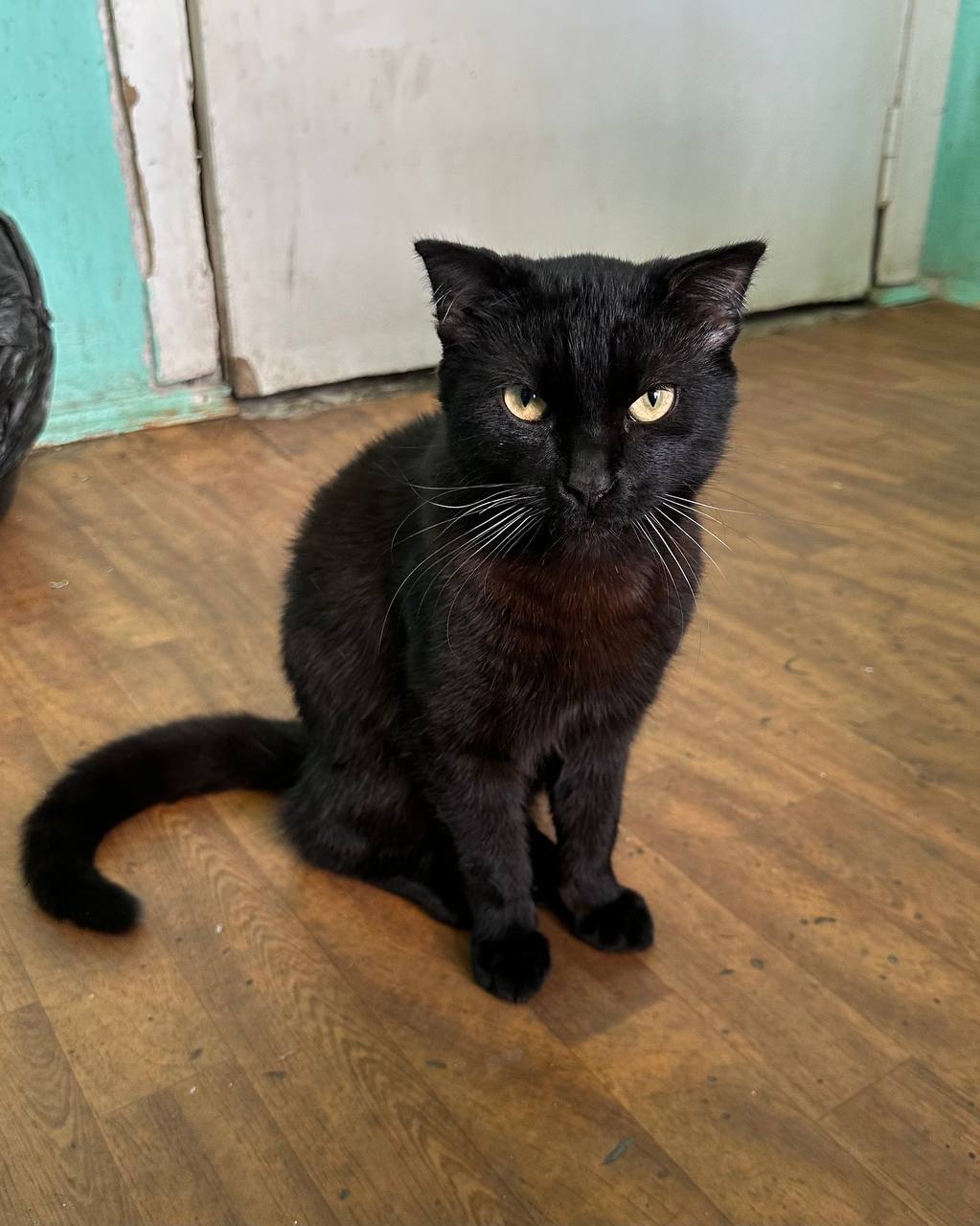 Евгений Попов: Друзья, наша «Нива», переданная семьей Александра и Людмилы Ж., теперь помогает медикам вывозить раненых с линии фронта Евгений Попов: Друзья, наша «Нива», переданная семьей Александра и Людмилы Ж., теперь помогает медикам вывозить раненых с линии фронта